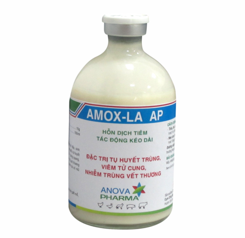 AMOX LA AP