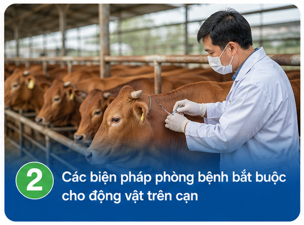 Các biện pháp phòng bệnh bắt buộc cho động vật trên cạn