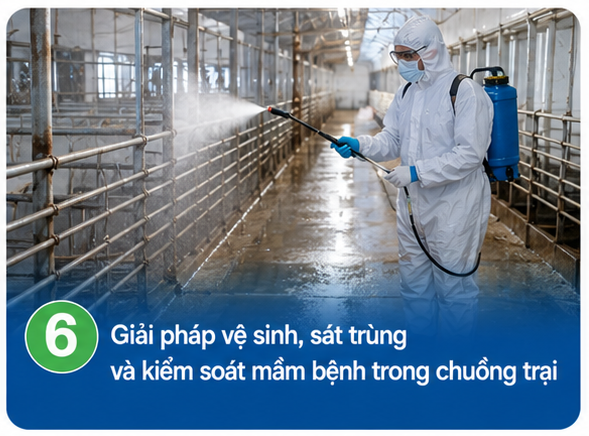 Giải pháp vệ sinh, sát trùng và kiểm soát mầm bệnh trong chuồng trại