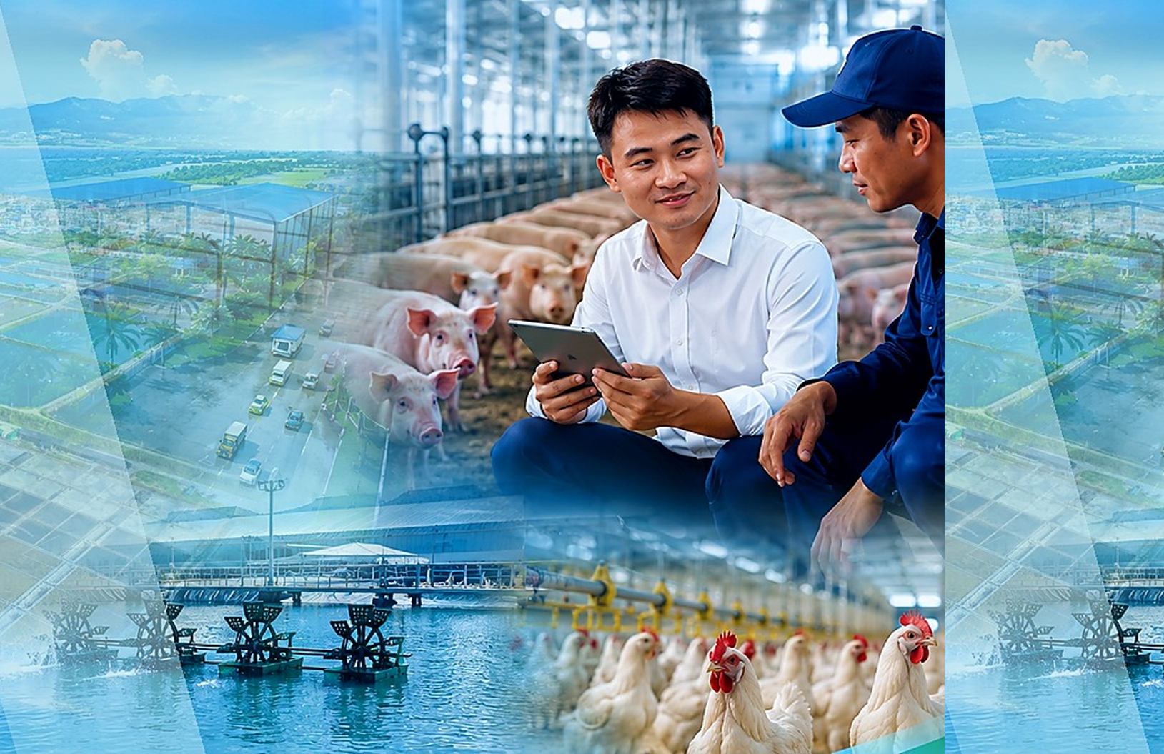 Đội ngũ chuyên viên kỹ thuật thực chiến: Đồng hành cùng người chăn nuôi tại trại