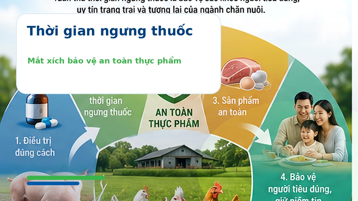 Thời gian ngưng thuốc: Mắt xích quan trọng để bảo vệ an toàn thực phẩm