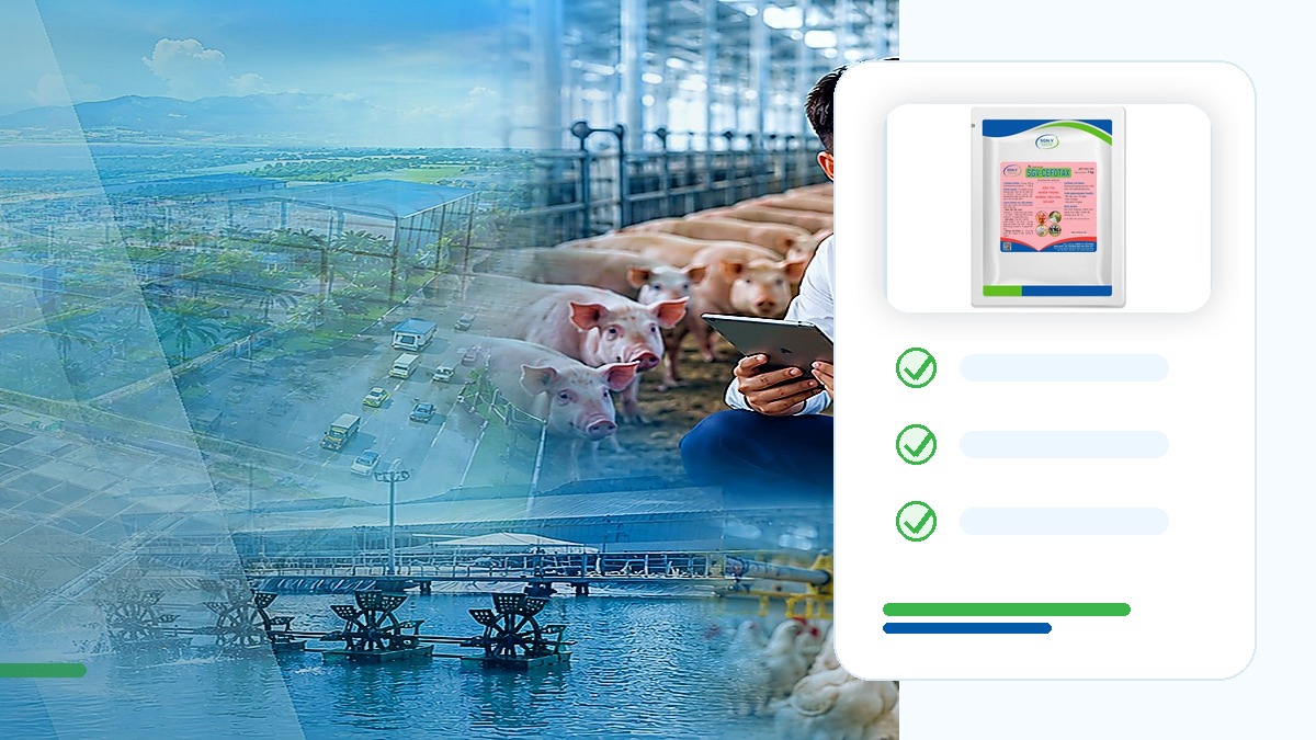 Sử dụng kháng sinh có trách nhiệm: Đúng bệnh, đúng thuốc, đúng liều, đúng thời gian
