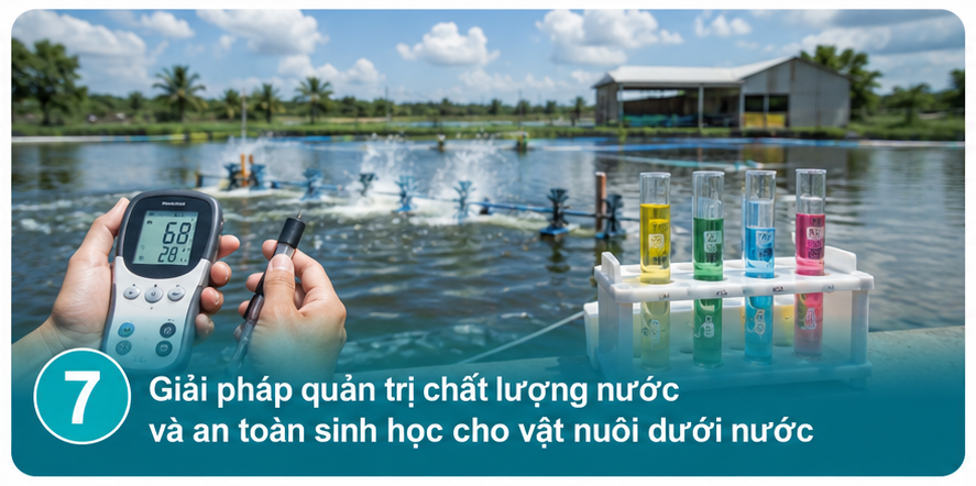 Giải pháp quản trị chất lượng nước và an toàn sinh học cho vật nuôi dưới nước