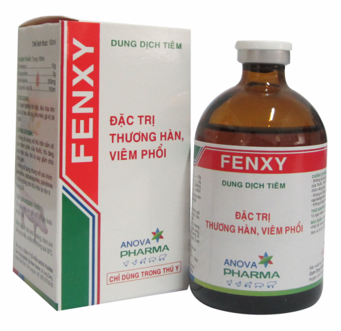 FENXY
