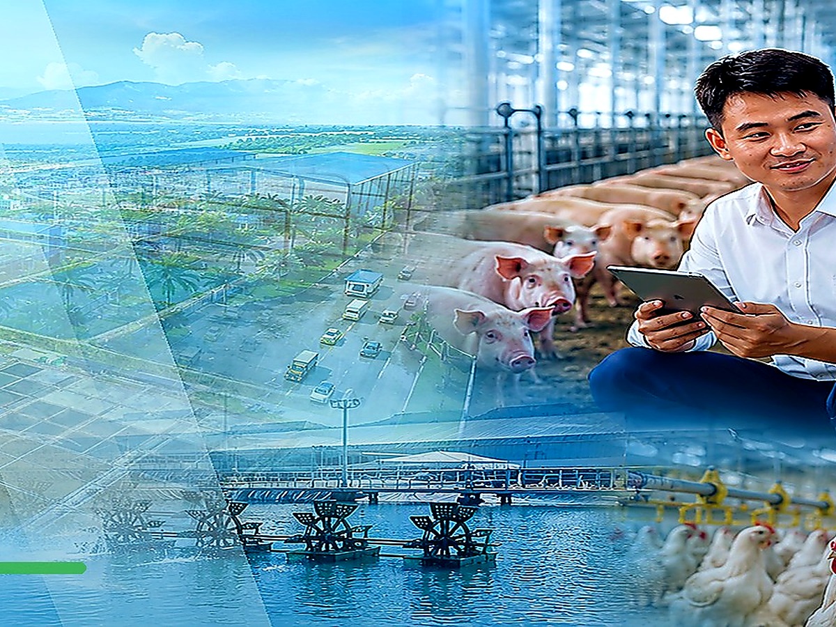 Ghi chép và theo dõi điều trị tại trang trại