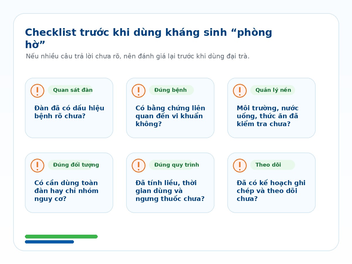 Checklist trước khi dùng kháng sinh phòng hờ trong chăn nuôi