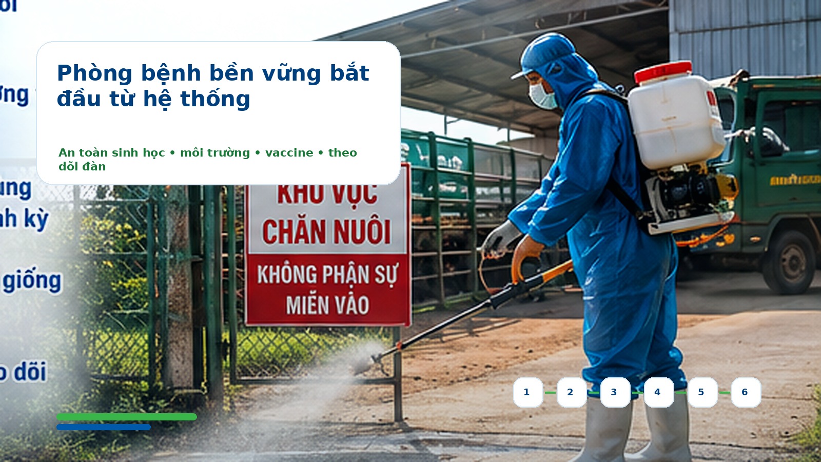 Phòng bệnh bằng hệ thống trong chăn nuôi