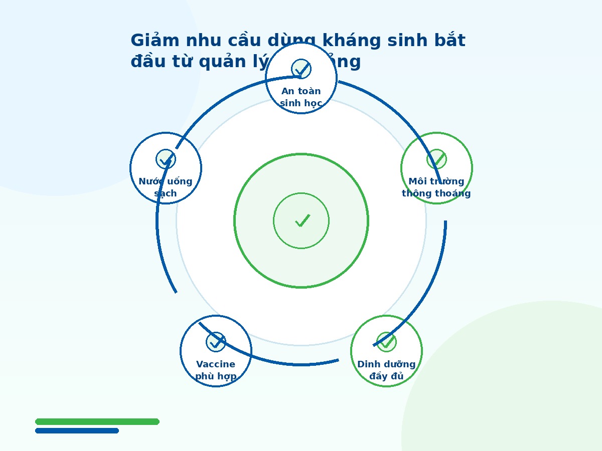 Quản lý môi trường, dinh dưỡng, vaccine và nước uống giúp giảm nhu cầu dùng kháng sinh