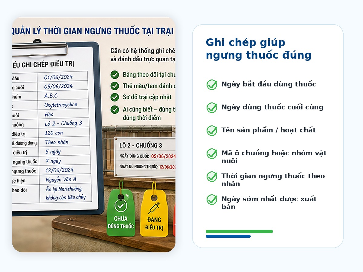 Ghi chép điều trị và thời gian ngưng thuốc tại trang trại