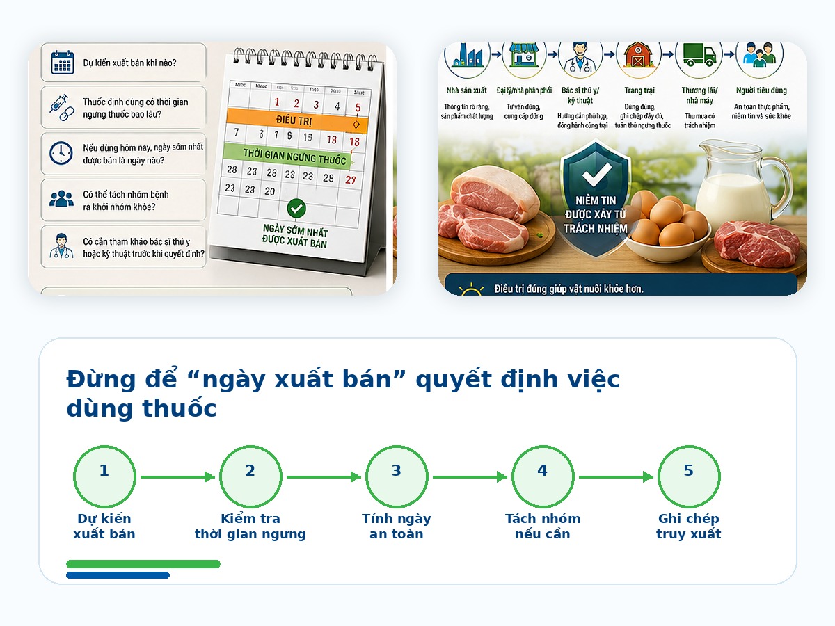 Kế hoạch xuất bán cần đi cùng kiểm soát thời gian ngưng thuốc
