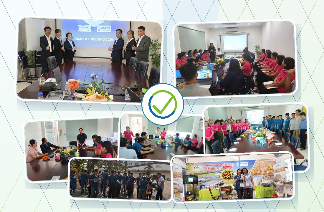 Minh họa chính sách nhân sự và môi trường làm việc Sài Gòn Vet
