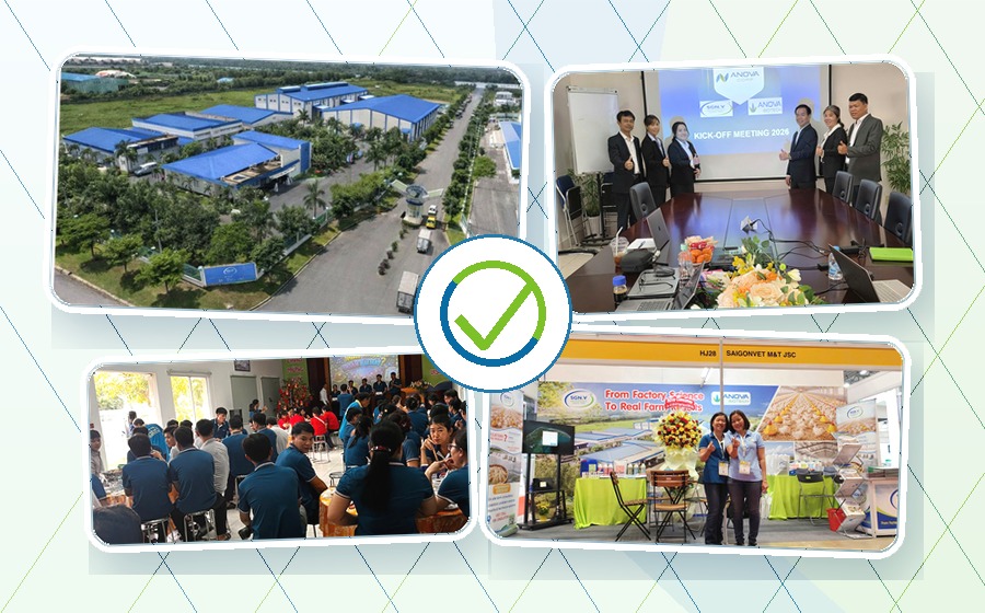 Môi trường làm việc và định hướng phát triển tại Sài Gòn Vet